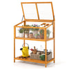 Wood cold frame greenhouse with openable roof, slatted storage shelf, and natural fir wood for gardening organization.