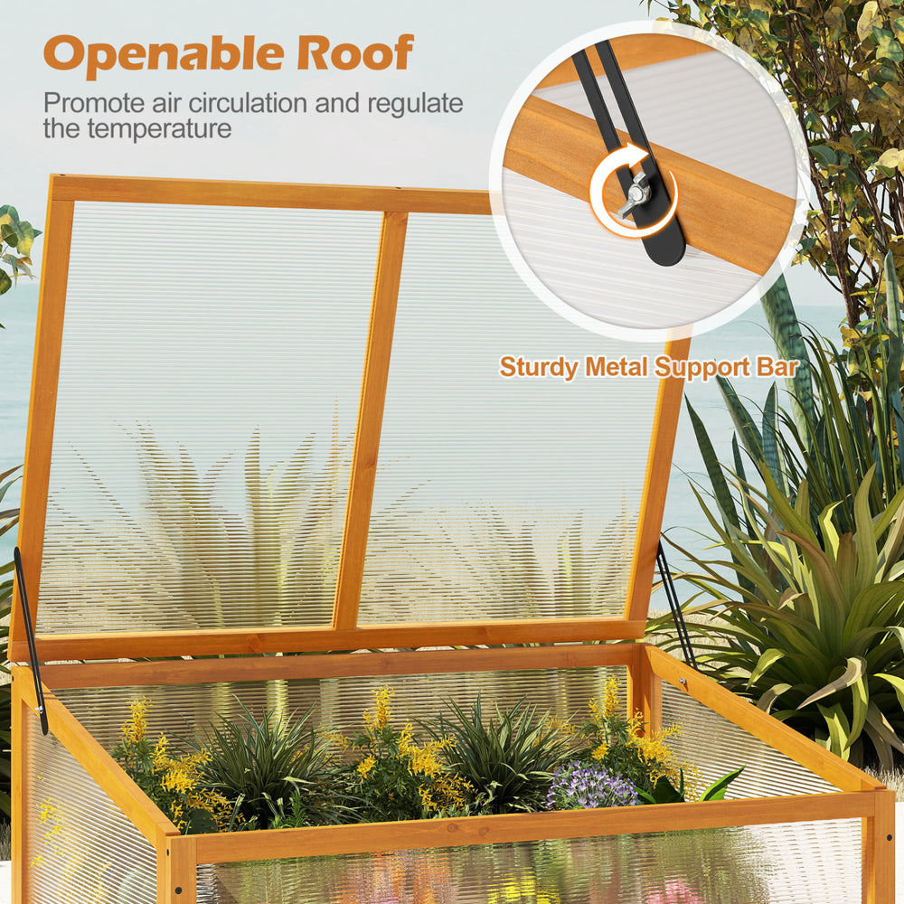 Openable roof of the wood cold frame greenhouse with transparent panel for air circulation and temperature regulation.