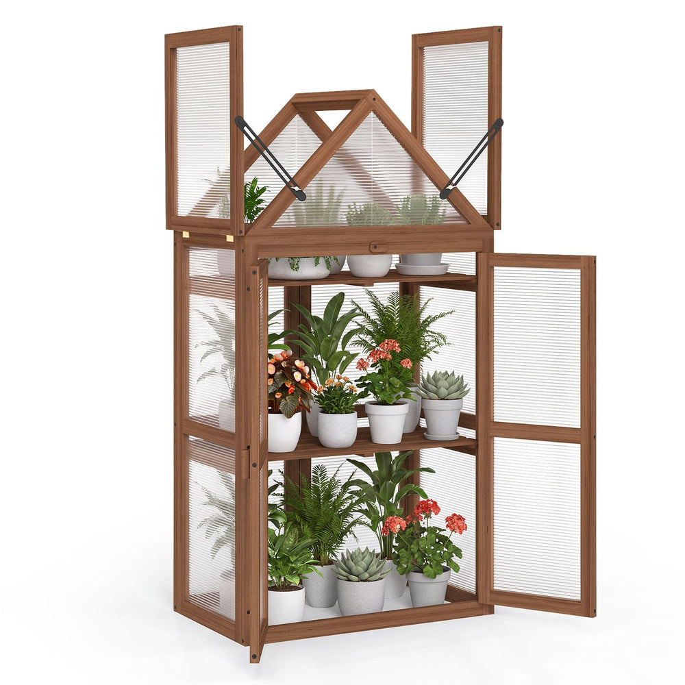 Brown wood raised flower planter shelf with open roof and adjustable shelves, shown with double doors displaying potted plants.