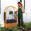 Wooden raised garden bed with lattice trellis and arched roof, made from natural pine wood, ideal for various plants.