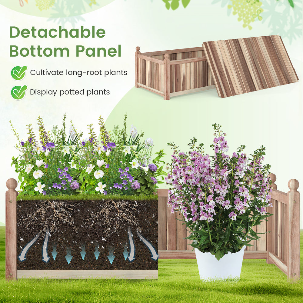 Wooden raised garden bed made of natural acacia wood with detachable bottom panel for cultivating long-root plants.