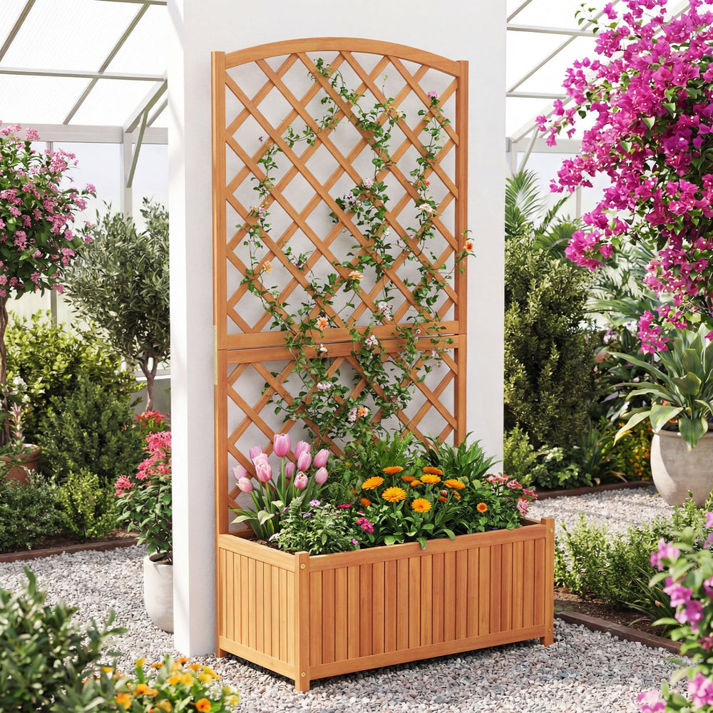 Wooden raised garden bed with trellis made of acacia wood, ideal for growing flowers and climbing plants in outdoor.