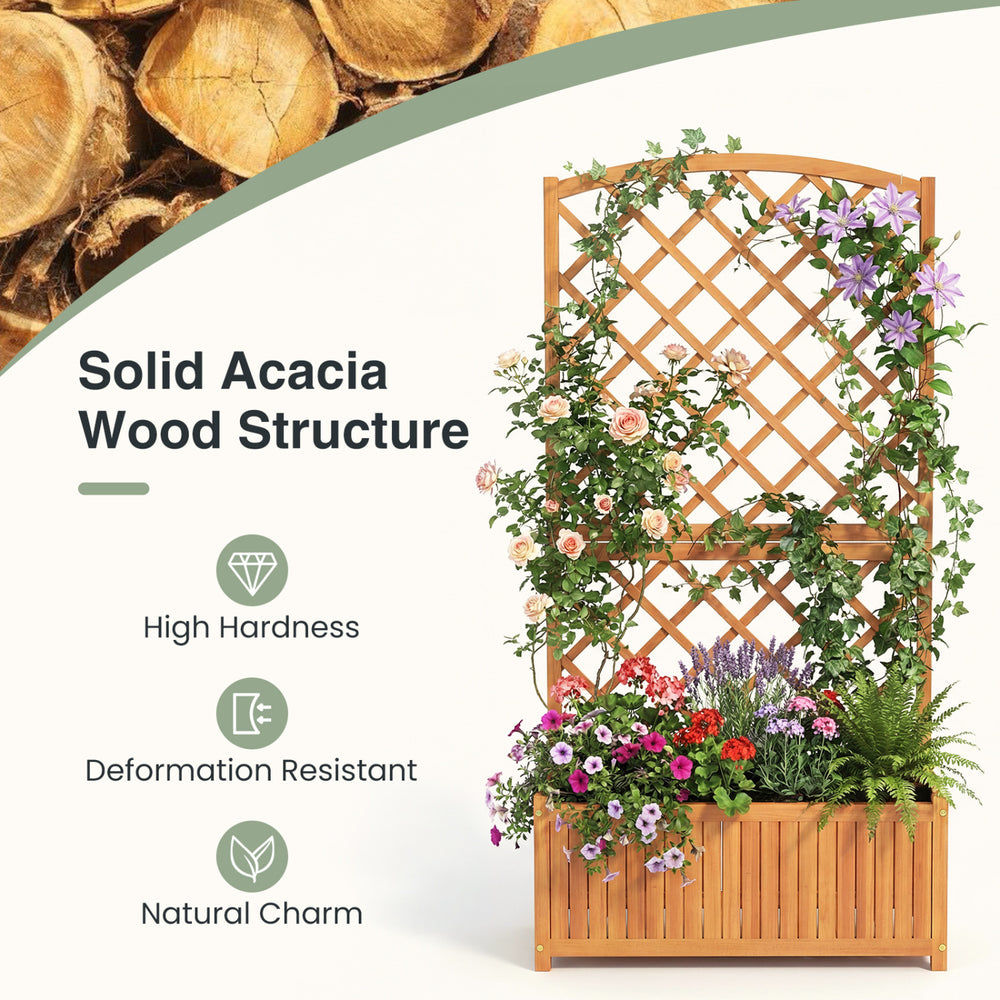 Wooden raised garden bed with trellis, made from acacia wood, perfect for growing plants in gardens or patios.