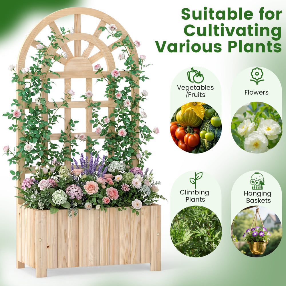 Wooden raised garden bed with trellis, made of solid fir wood, ideal for cultivating various plants outdoors.