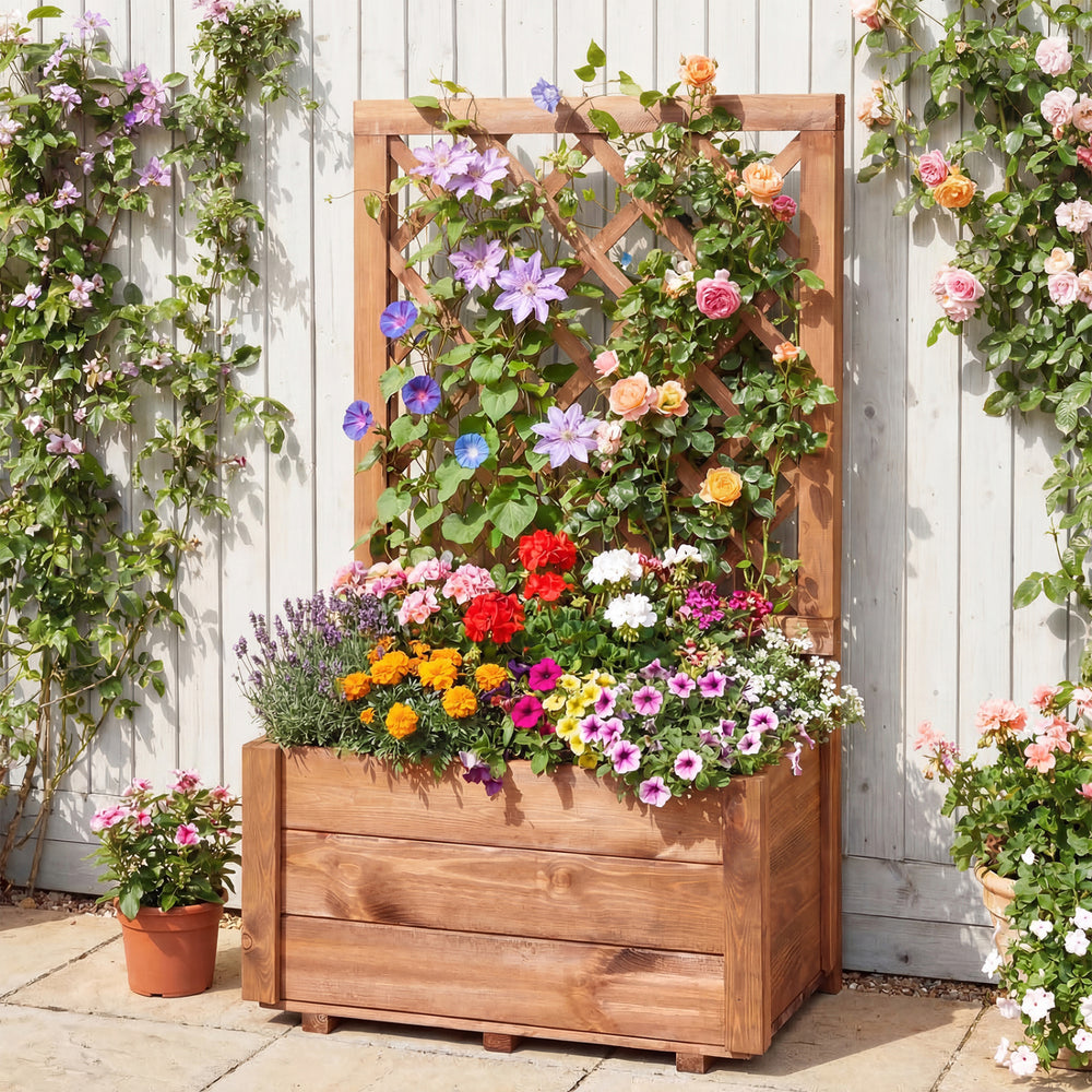 Wooden raised garden bed with lattice trellis, showcasing vibrant flowers and natural wood grain, perfect for outdoor.