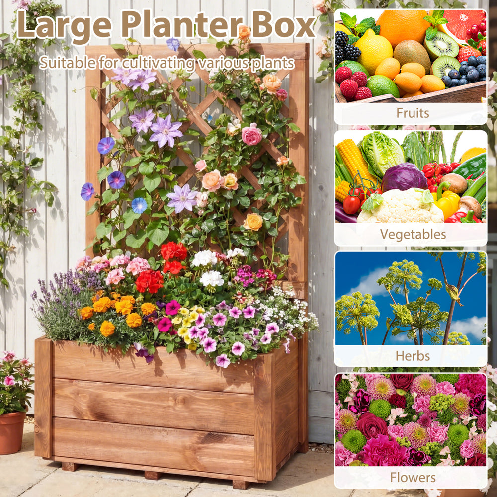 Wooden raised garden bed with lattice trellis, made from pine wood, ideal for nurturing various plants on patios or.