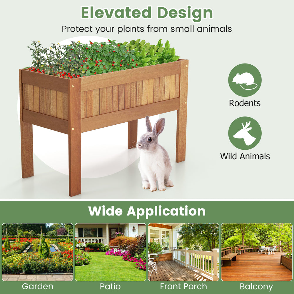 Wooden raised garden bed with legs, crafted from solid wood, elevated design protects plants from rodents and wild.