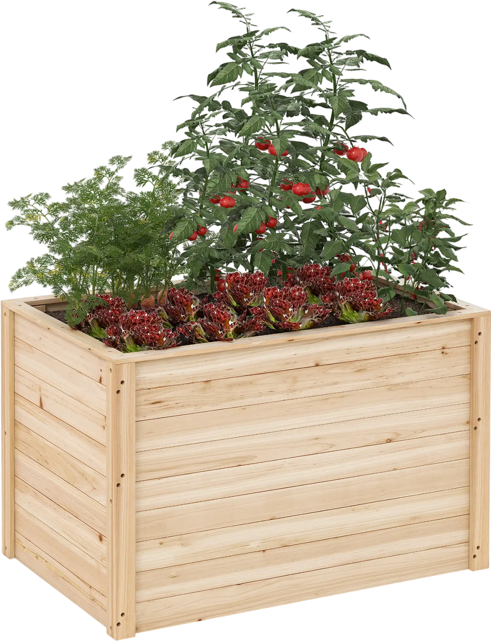 Wooden Raised Garden Bed Elevated Planter Box with Open-Ended Base