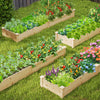 Wooden raised garden bed with two planter boxes, featuring natural fir wood, ideal for growing vegetables and flowers.