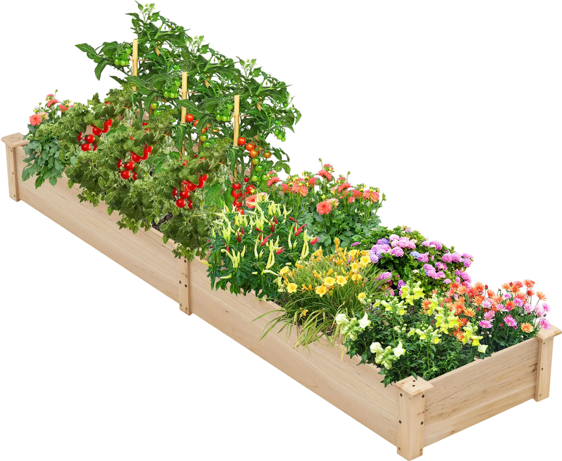Costway Wooden Raised Garden Bed 2 Planter Boxes Dividers 294518637 New