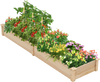 Wooden raised garden bed with two planter boxes and dividers, made of natural fir wood, ideal for growing various.