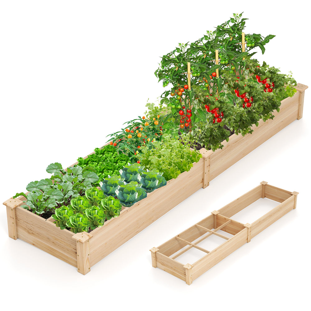 Wooden raised garden bed with two planter boxes and dividers, made of natural fir wood, ideal for growing vegetables.