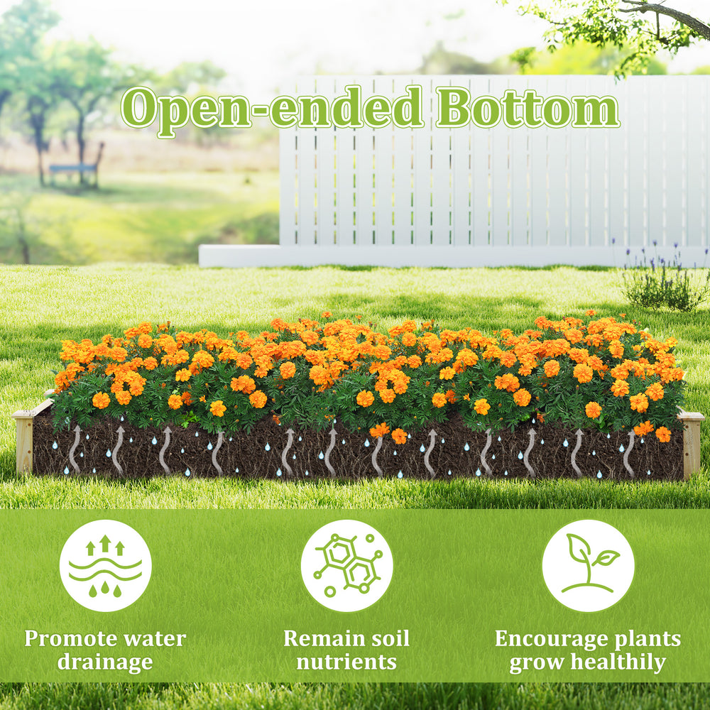 Wooden raised garden bed with two planter boxes, featuring an open-ended bottom for water drainage and healthy plant.