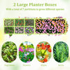 Wooden raised garden bed with 2 planter boxes and dividers for growing vegetables, flowers, and herbs in a natural.
