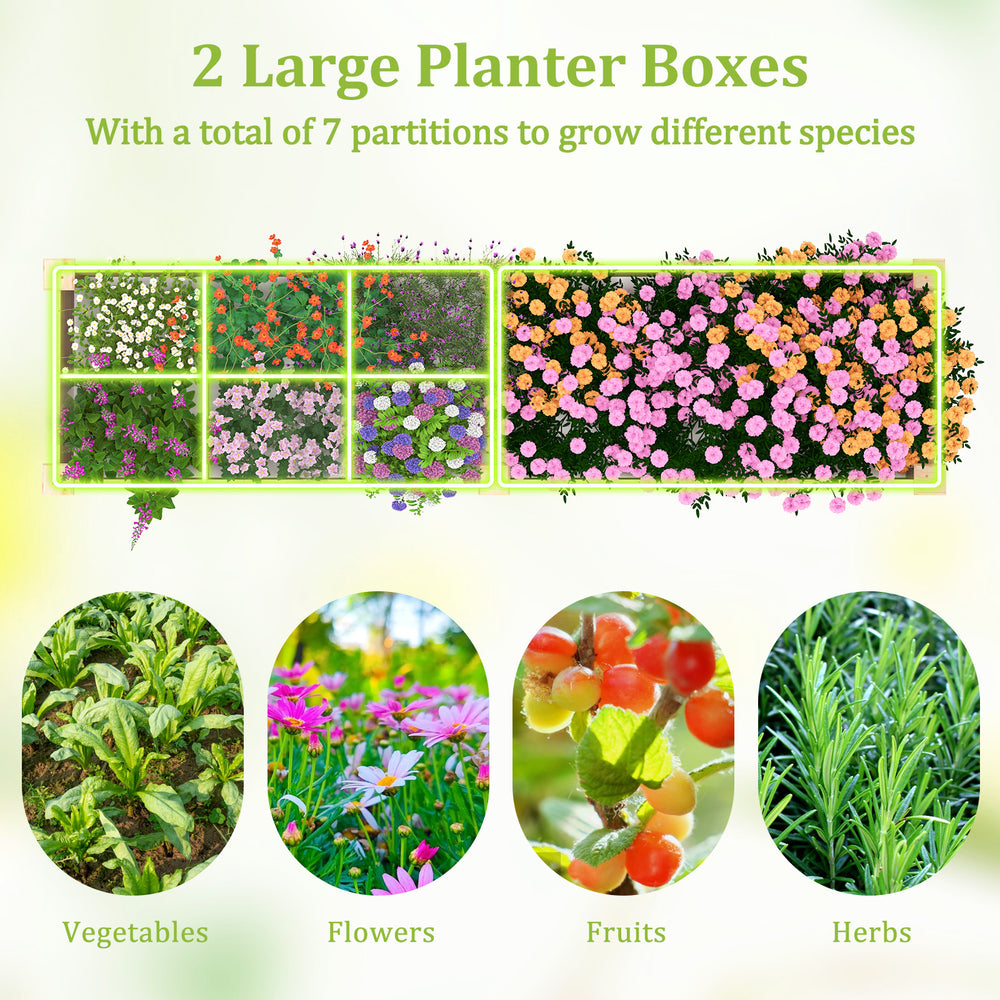 Wooden raised garden bed with 2 planter boxes and dividers for growing vegetables, flowers, and herbs in a natural.