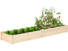 Wooden raised garden bed with two planter boxes, made of durable fir wood, ideal for growing various plants.