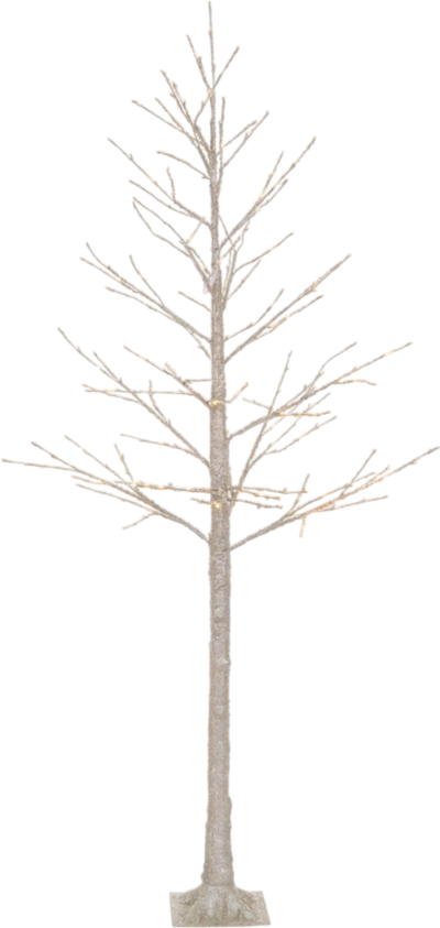 Vickerman Champagne Icy Twig Tree 8' LED Outdoor 240 Warm White LED Lights New