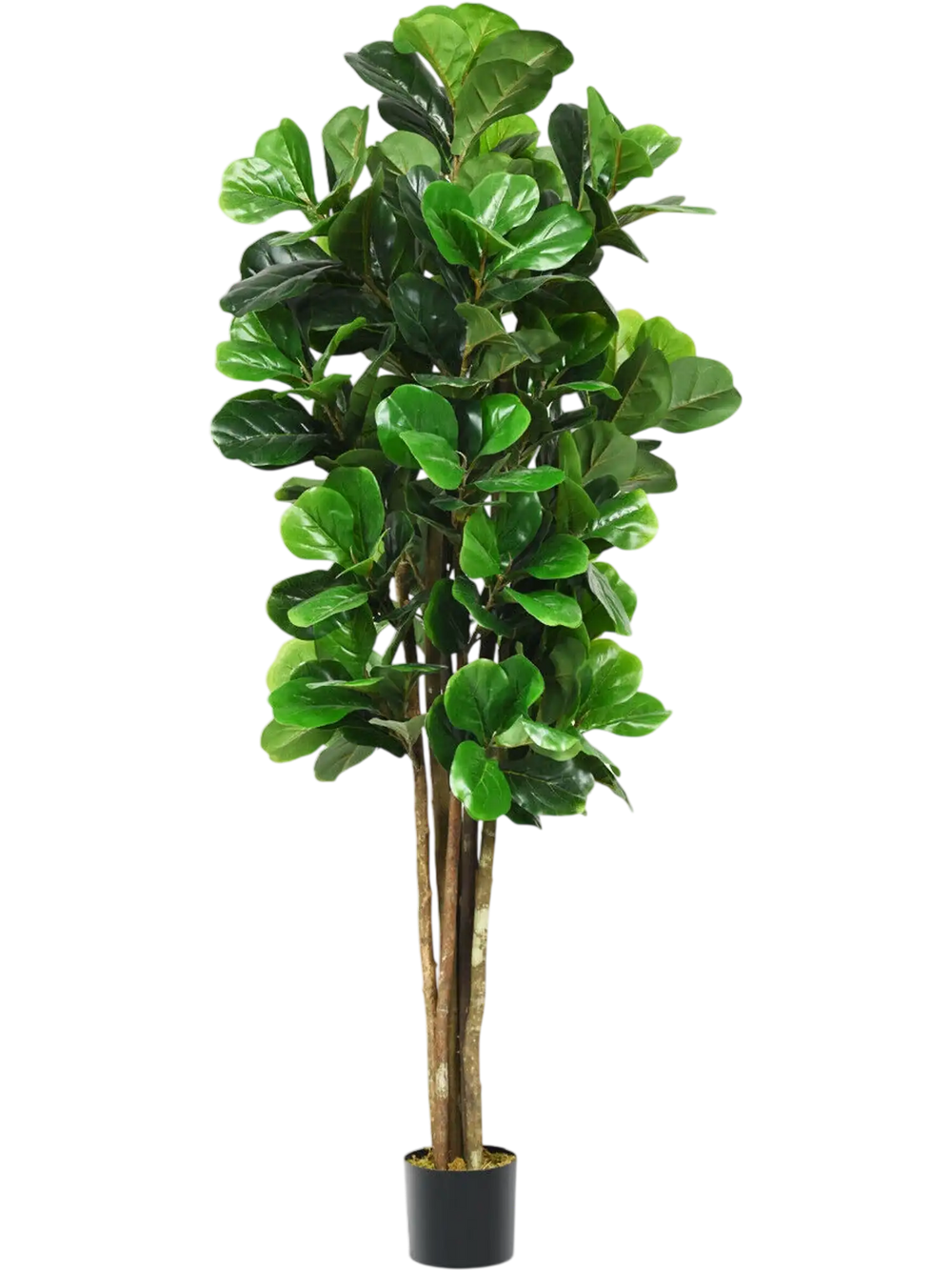 6-Feet Artificial Indoor-Outdoor Home Decorative Planter