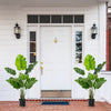 Two artificial Monstera Deliciosa trees with 10 leaves each, perfect for year-round indoor and outdoor decoration.