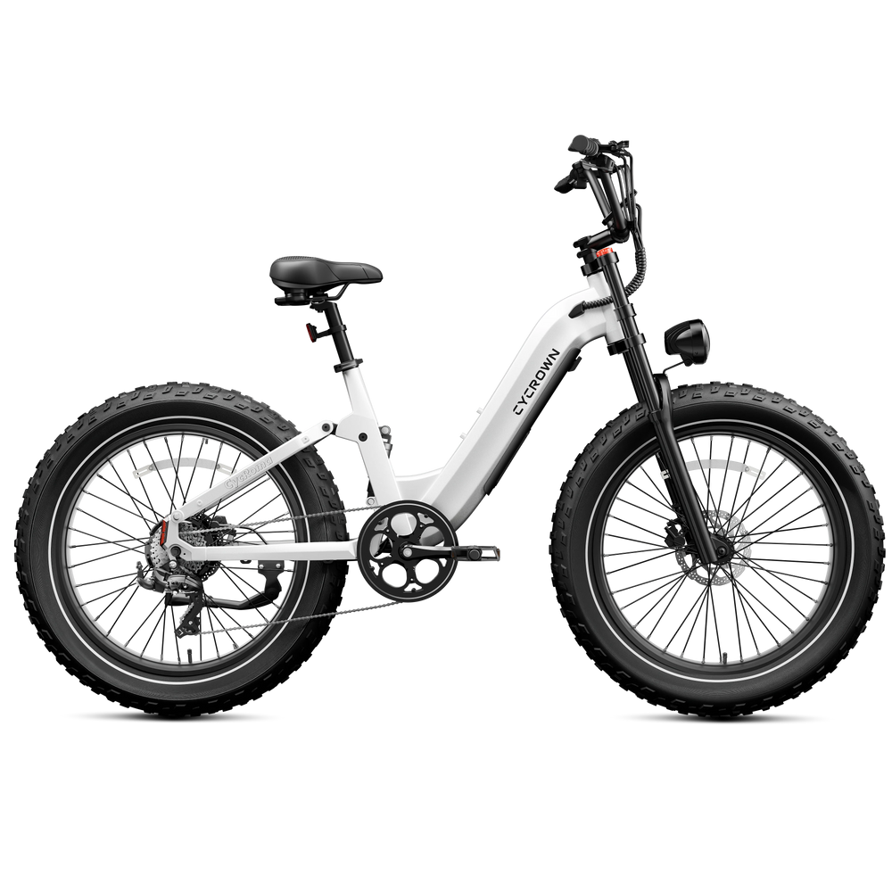 Cycrown Roma ST Electric Bike All-Terrain Step-Through Frame 1500W 28 MPH 90 Mile Range 48V New