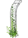 Metal garden arch trellis for climbing plants, showcasing an elegant curved design, perfect for enhancing garden.