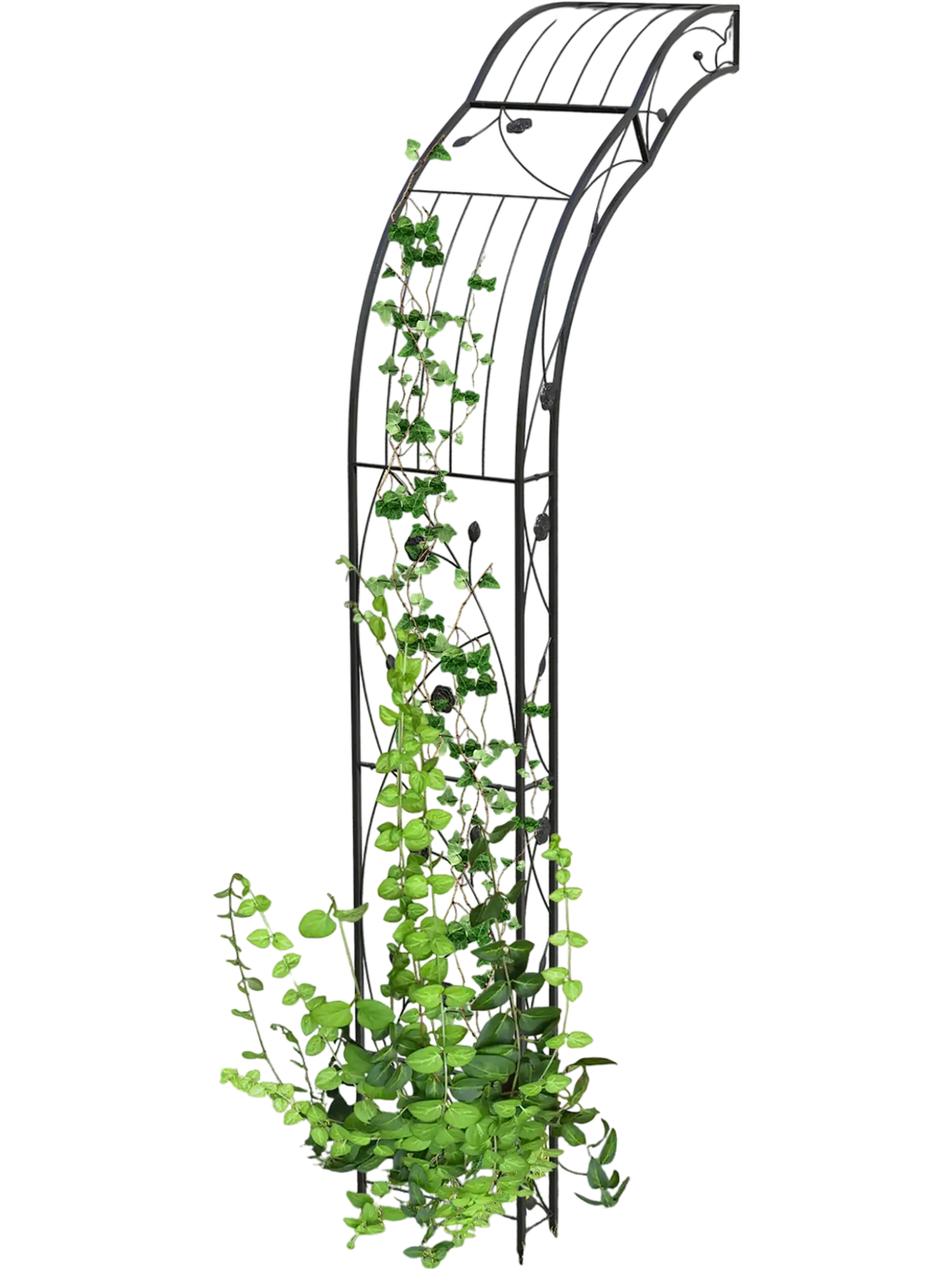 Metal garden arch trellis for climbing plants, showcasing an elegant curved design, perfect for enhancing garden.