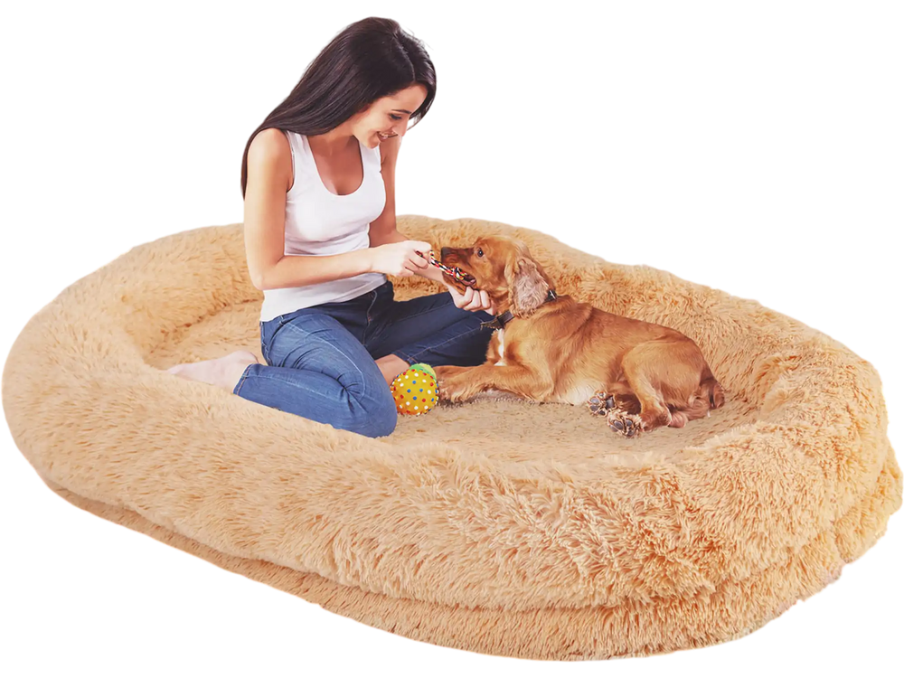 Cozy brown washable human dog bed with soft blanket, plump pillow, and bolsters for pet interaction and relaxation.