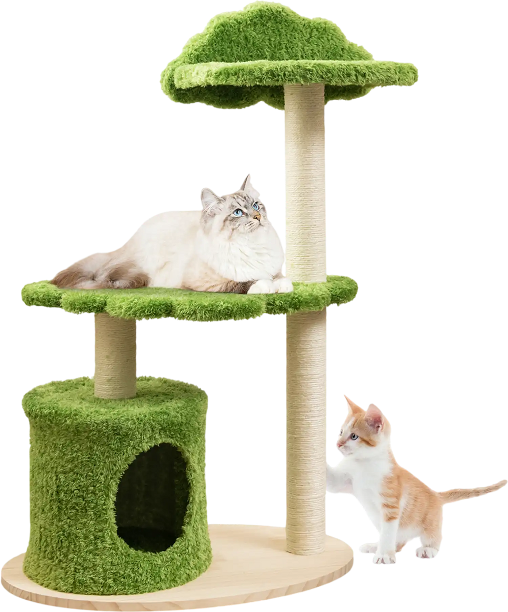 Cat tree with green cloud design, featuring sisal scratching posts and cozy condo for indoor cats. Ideal for play and.