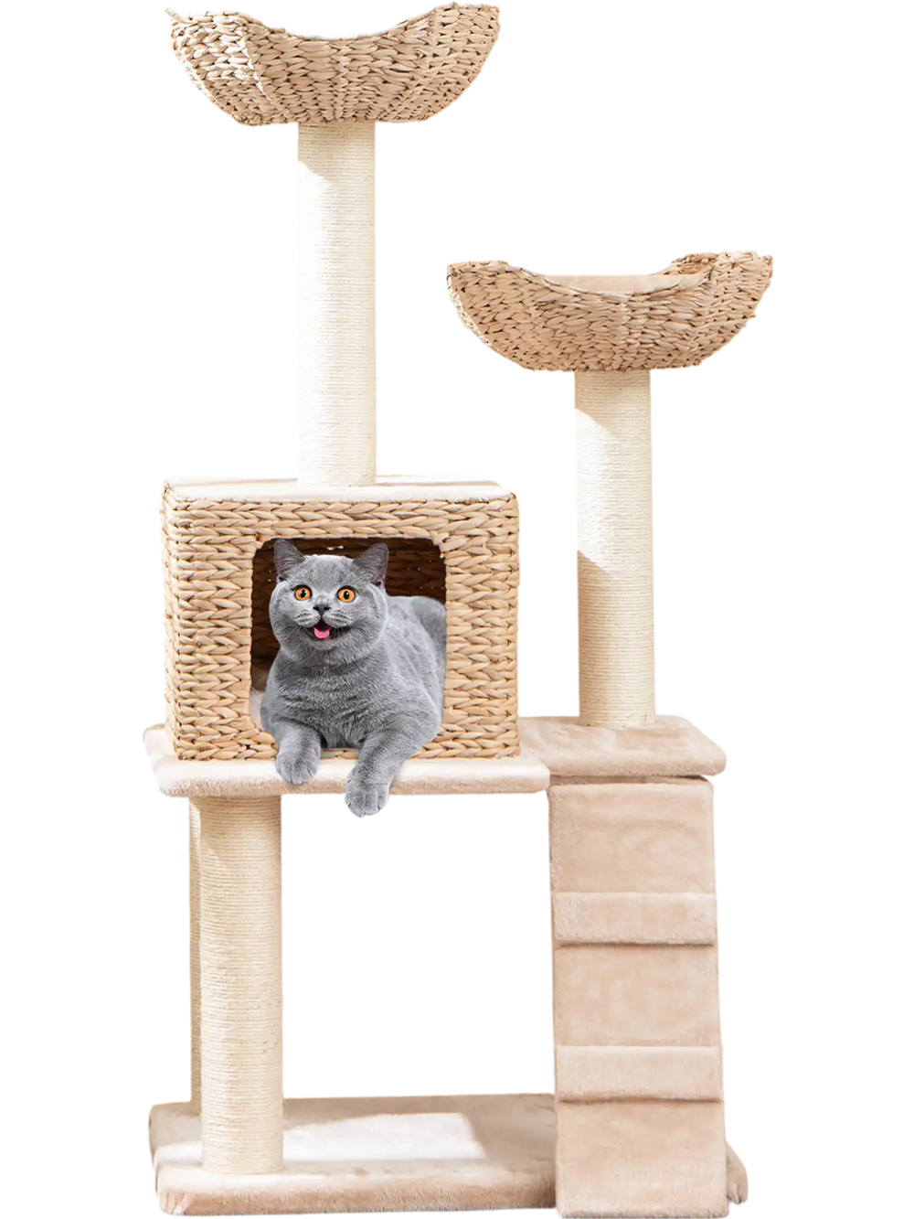 Cat lounging in the cozy condo of a 48-inch beige cattail cat tower with sisal scratching posts and perches.