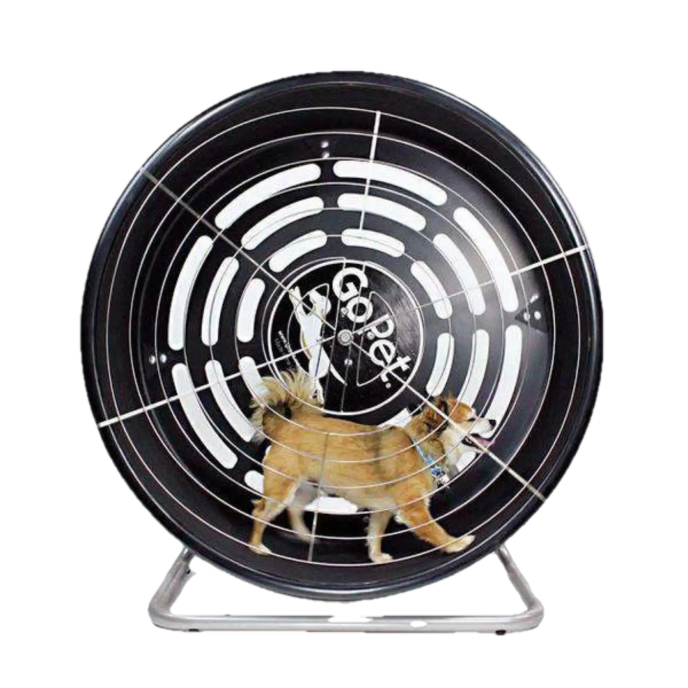 Featured image for product 1478146424941