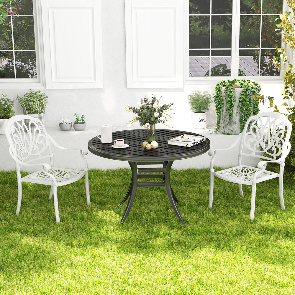 2 Pieces Patio Cast Aluminum Dining Chairs with Armrests-White - Gallery View 1 of 8