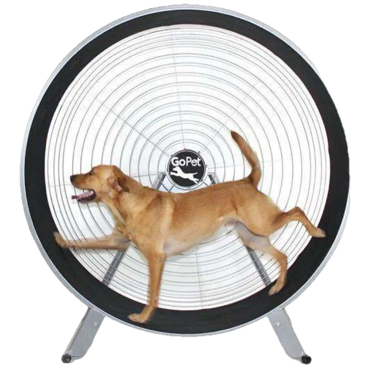 GoPet CS7620 PetRun 36 Inch Large Breed up to 150 pounds Extra Large Dog Treadmill New