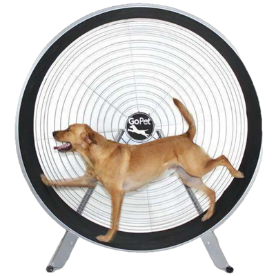 GoPet CS7620 PetRun 36 Inch Large Breed up to 150 pounds Extra Large Dog Treadmill New