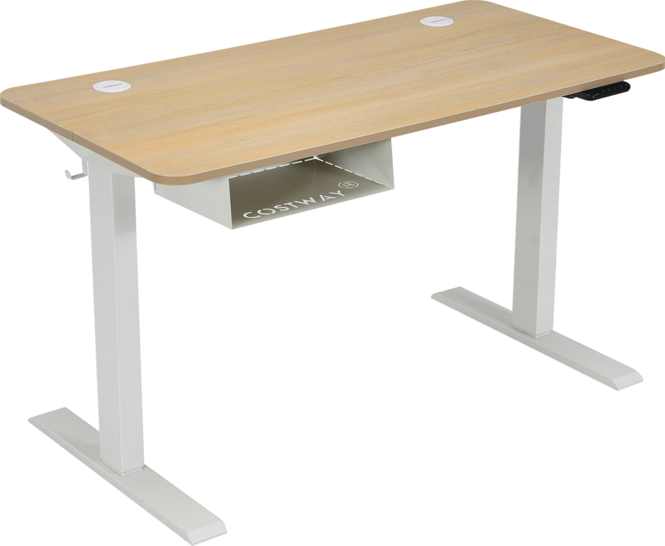 Costway Electric Standing Desk Adjustable 48