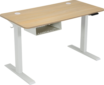 Costway Electric Standing Desk Adjustable 48