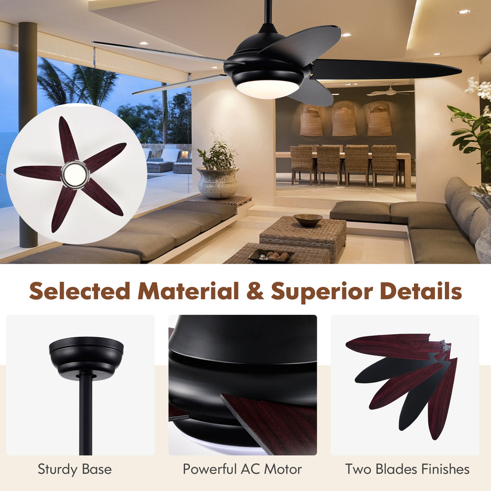 52-inch black ceiling fan with lights, featuring dual blade finishes and remote control for versatile indoor use.