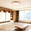 24W Modern LED Mount Ceiling Light with Wood Pattern and Metal Frame-Natural - Gallery View 1 of 9