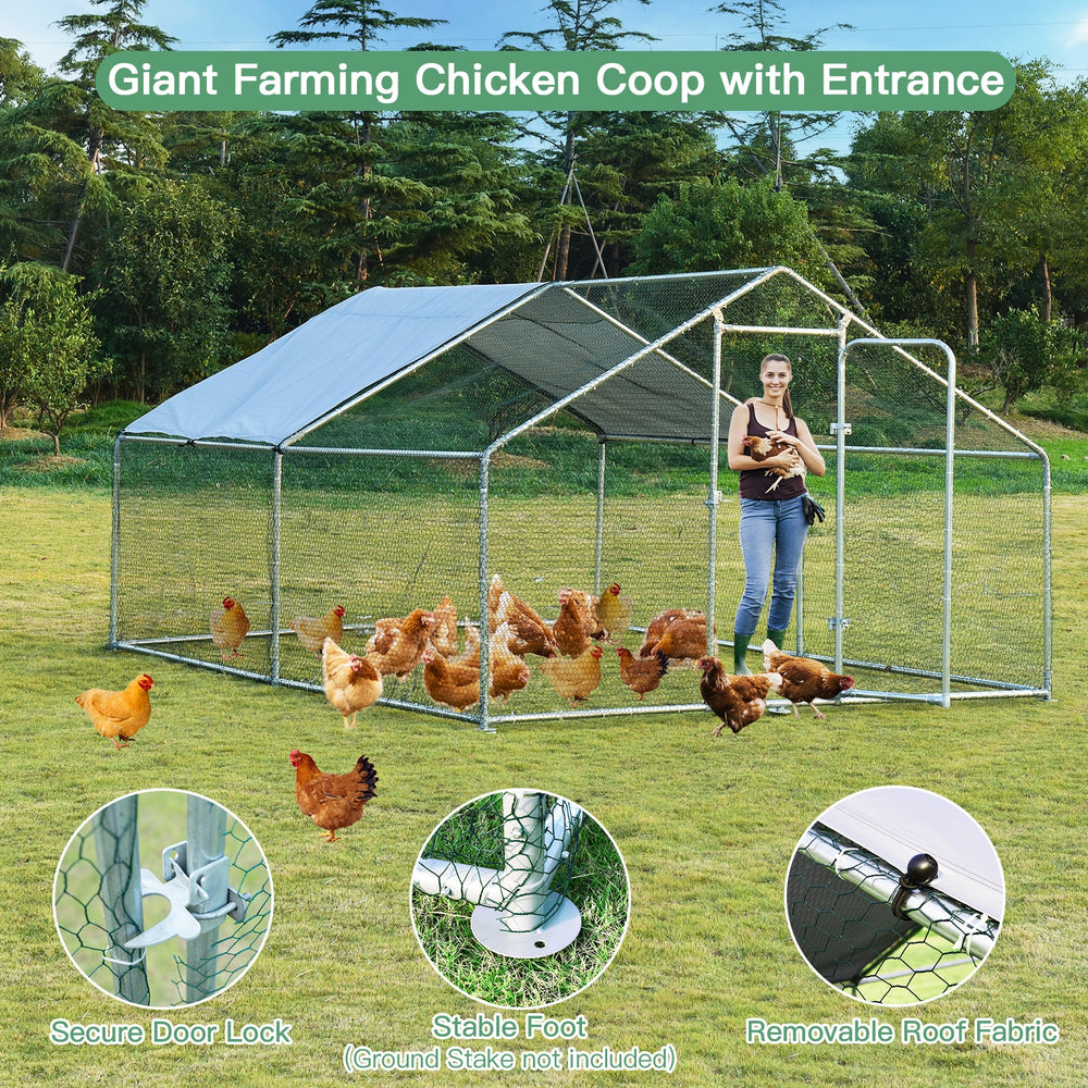 Large walk-in chicken coop with roof cover, featuring PVC coated wire mesh and galvanized frame for outdoor safety.
