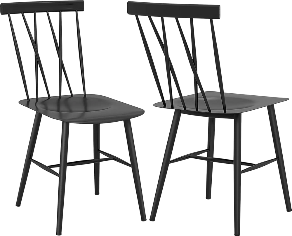Set of 2 Modern Dining Chairs with Backrest