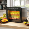7 stainless steel trays food dehydrator with digital display, drying fruits and vegetables, ideal for healthy snacks.