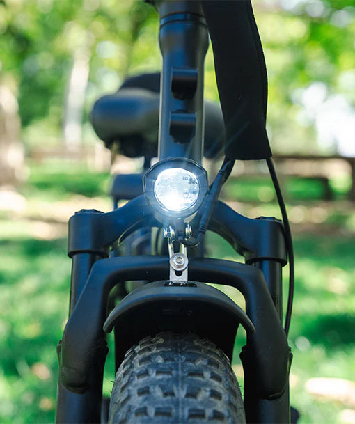 Rattan LF Ultra Foldable Electric Bicycle Step-Thru 32 MPH 120 Mile Range 1000W 48V 40.5Ah New