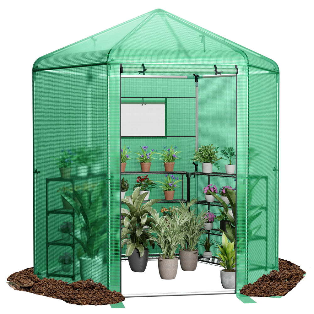 Walk-in hexagonal greenhouse with PE cover and metal frame, featuring a dome top and roll-up windows for ventilation.