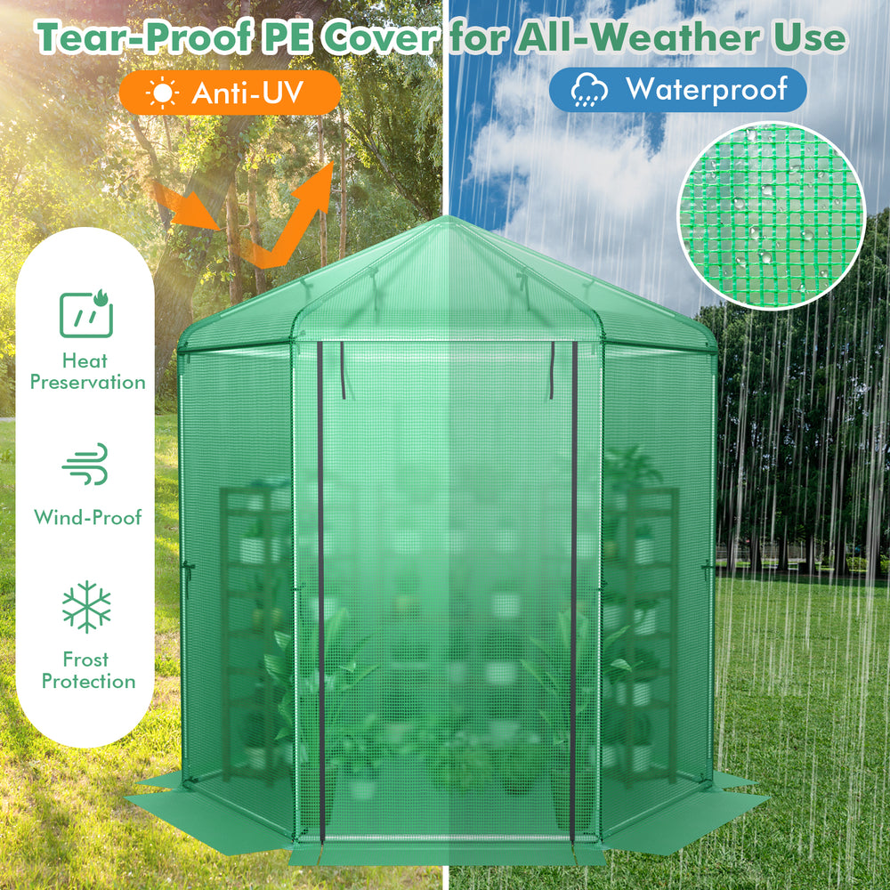 Walk-in hexagonal greenhouse with tear-proof PE cover and metal frame, featuring roll-up door and windows for.