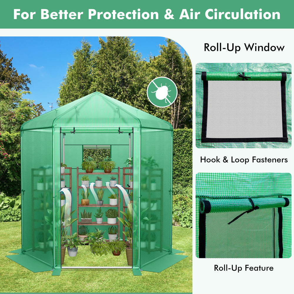 Walk-in hexagonal greenhouse with PE cover, roll-up window, and metal frame for optimal plant ventilation and.