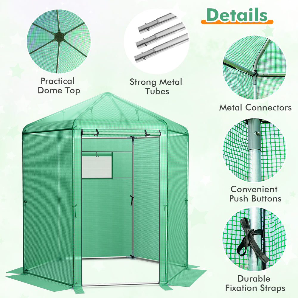 Walk-in hexagonal greenhouse with a dome top, PE cover, and strong metal frame for optimal plant growth and ventilation.
