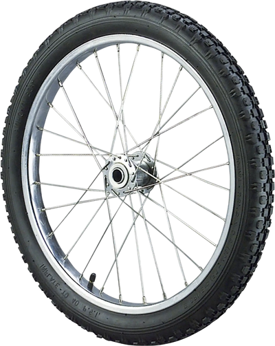 Grizzly H3042 Wheel 20