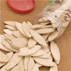 Grizzly H7930 - #10 Wood Biscuits, 125-Pk.