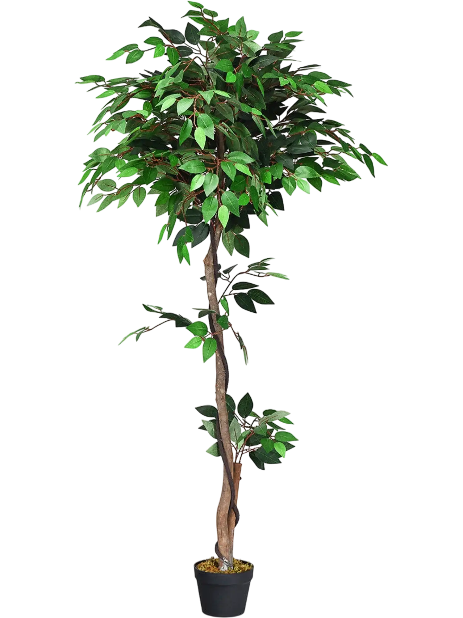 Costway 5.5' Artificial Ficus Silk Tree Wood Trunks 50926748 New