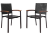 Set of 2 Outdoor Patio PE Rattan Dining Chairs