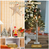 2ft pre-lit white twig birch tree with 24 LED lights, perfect for indoor holiday decoration and festive ambiance.